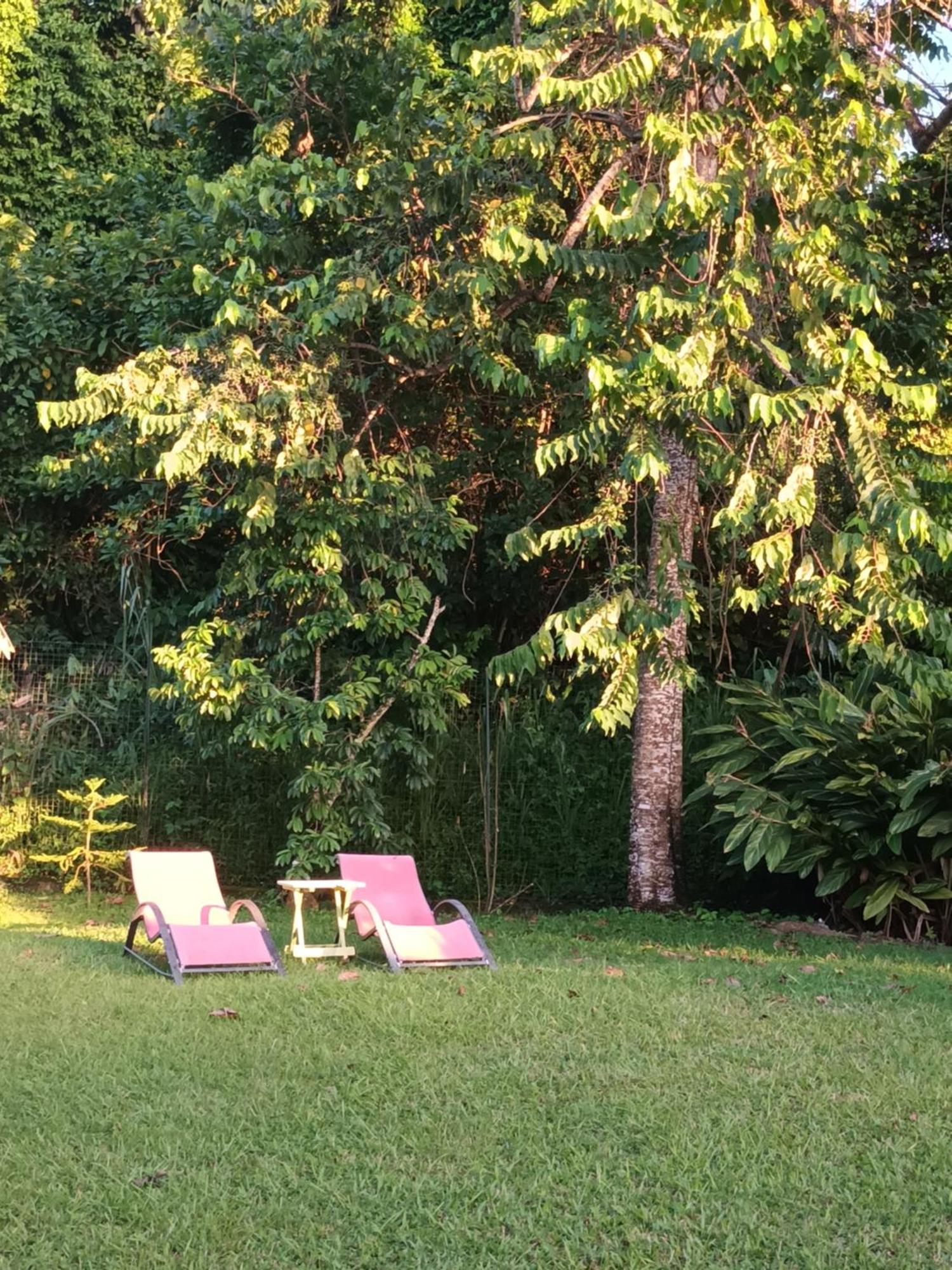 Ferienwohnung Passion Caraibes Saint-Claude Exterior foto